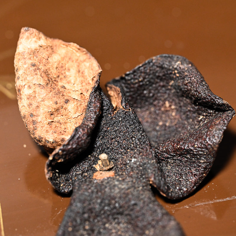 2006 Xinhui Meijiang Tangerine Peel, Chenpi