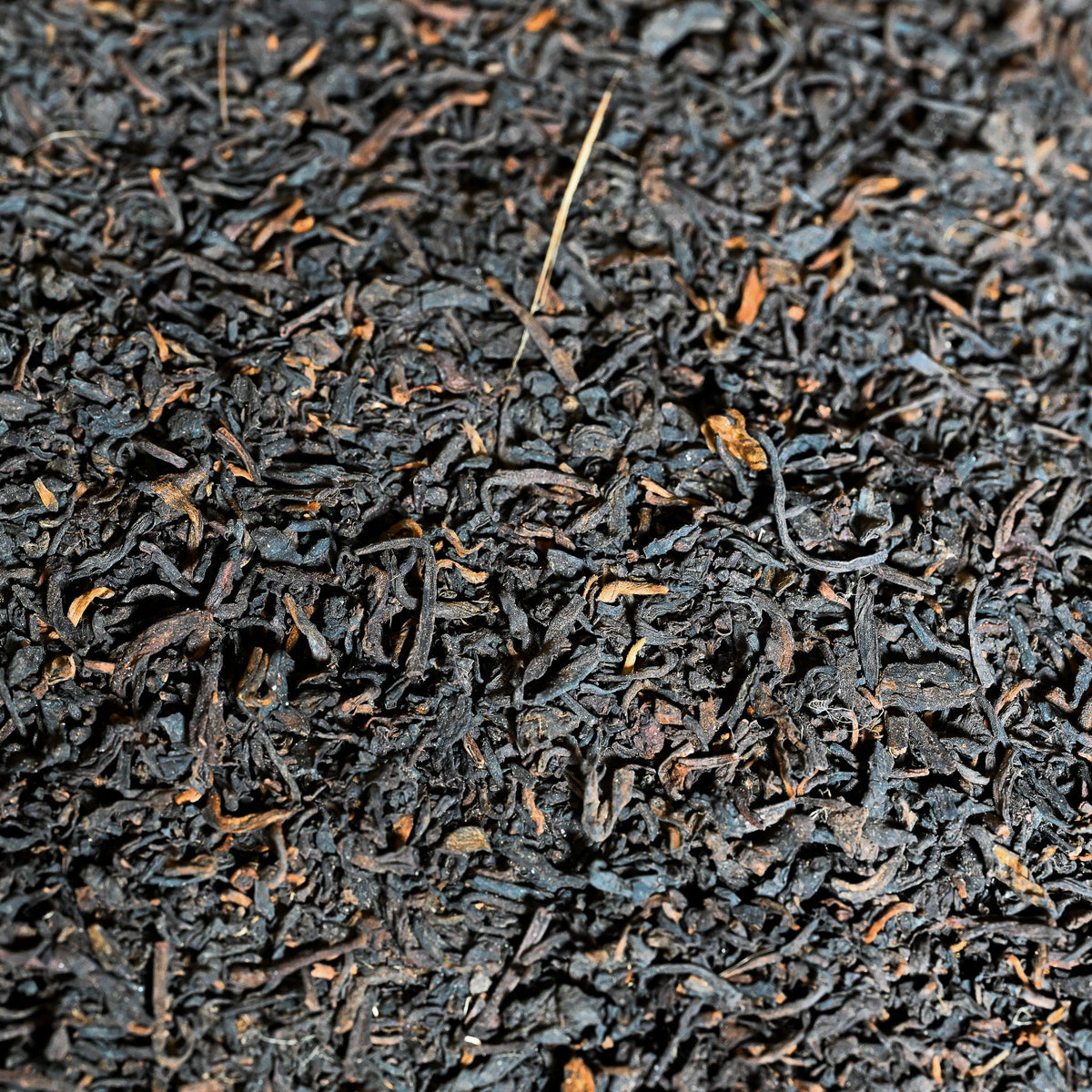 Guangxi Liu Bao Loose Leaf Tea  1992 (Ripe/Shou)