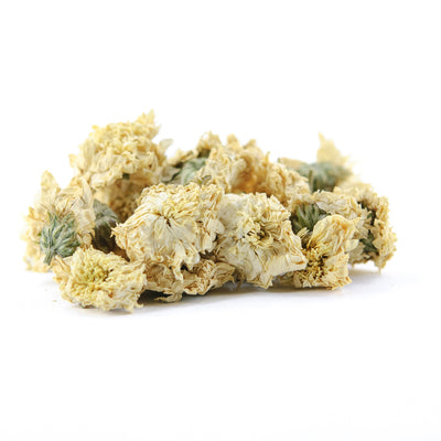 Premium Hang Bai Gong Chrysanthemum Flower